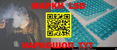 индика Брянск