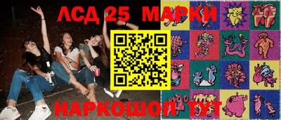 индика Брянск