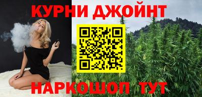 дмт Бердск