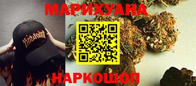 дмт Бердск