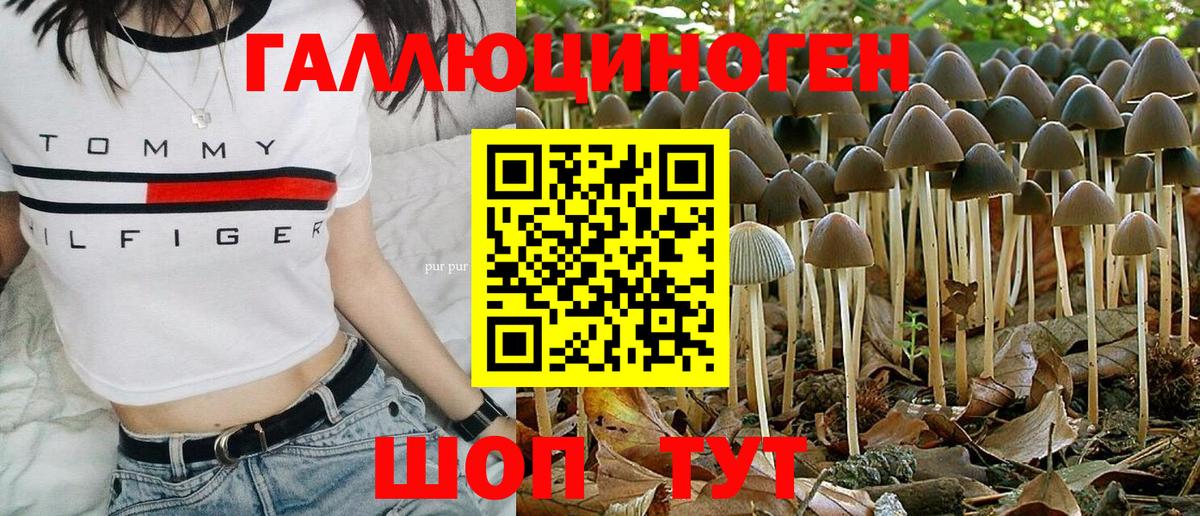 Лесной  Псилоцибиновые грибы ЛСД  Вход с VPN  Галлюциногенные грибы Magic Shrooms 