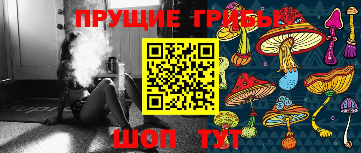 Галлюциногенные грибы GOLDEN TEACHER Лесной